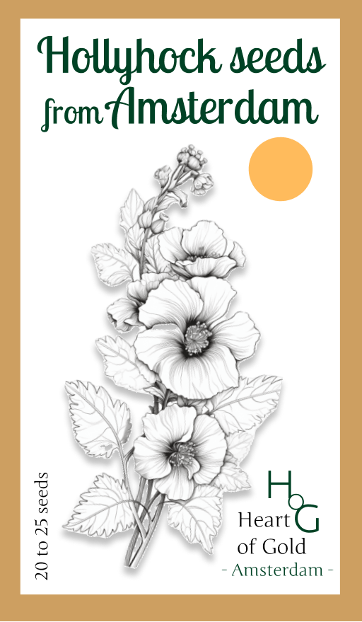 Hollyhocks seeds || All shades of Yellow